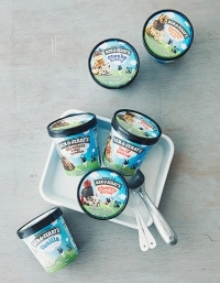 밴앤제리스 파인트 아이스크림